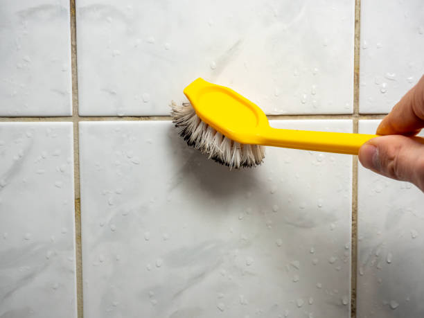 Best Office Mold Removal Services  in San Benito, TX