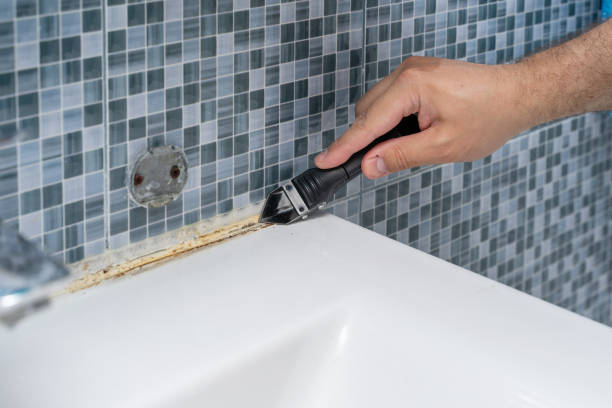 Best Commercial Mold Removal  in San Benito, TX